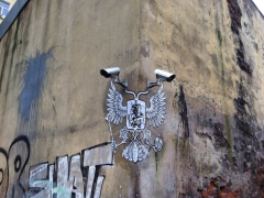 79 aScUopyV A
