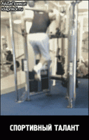 post-5456-0-72720000-1416313786_thumb.gif