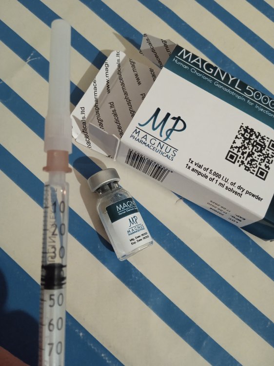 IMG_20211201_200310.jpg