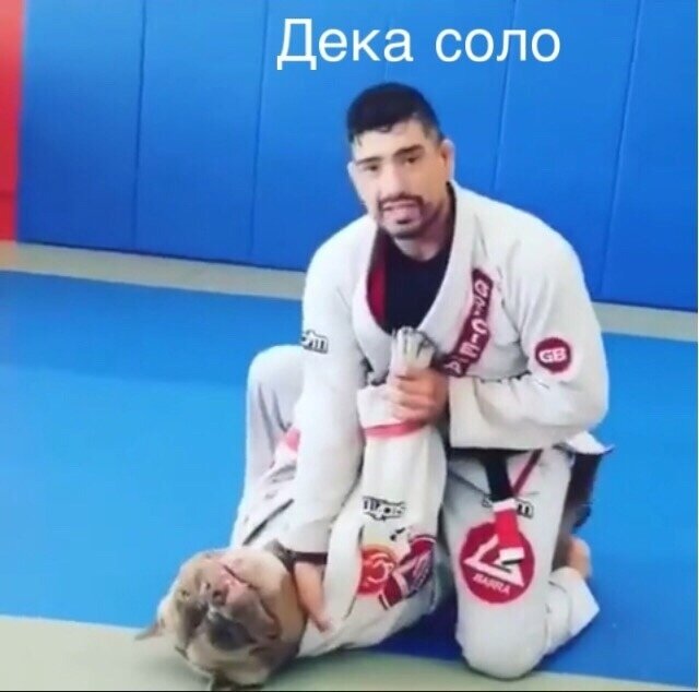 4rfiVYoISYbF68mUpXrbxshg6M82vjNw_86zhCPinVDrYXcKHt1CJ-VN9GmEwkqNx20zBz9Osl1499bsk8eGEe6p.jpg